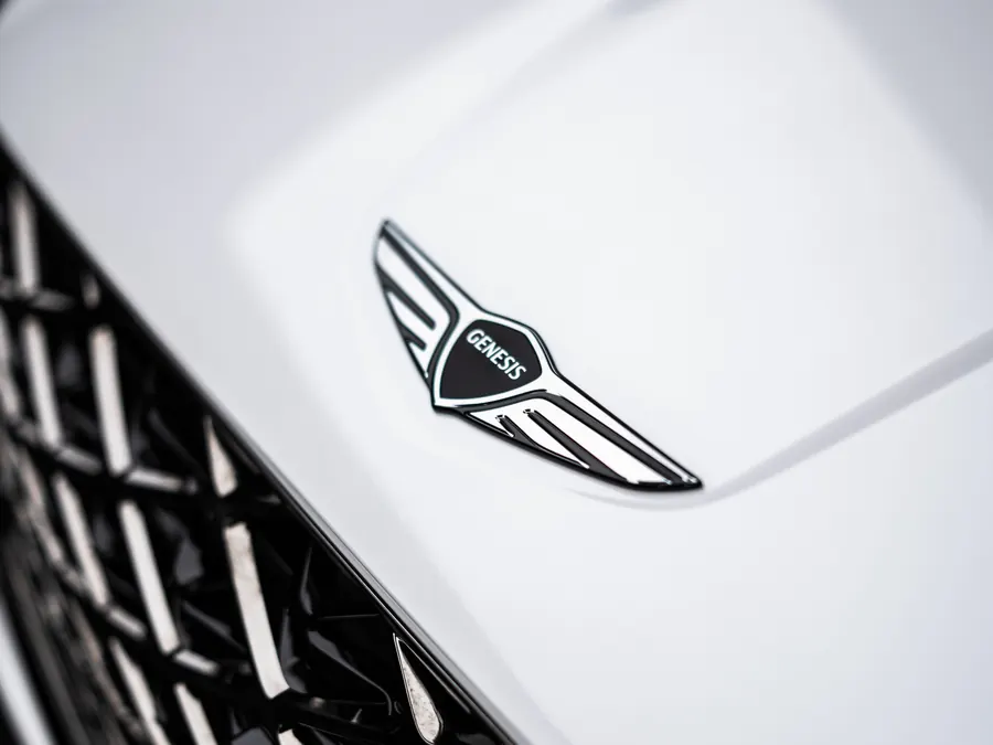 Bonnet badge and gloss detail after coating